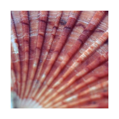 Christopher Cold Hands - Bunker / I Like That download mp3 flac