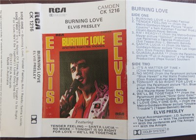 Elvis Presley - Burning Love download mp3 flac