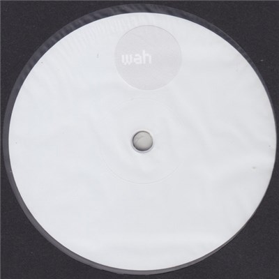 Various - Fly In The House (You Should've Known)/Your Love Is Tepid download mp3 flac