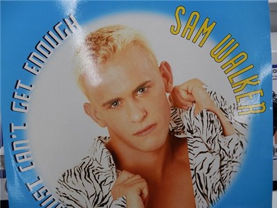 Sam Walker - Just Can't Get Enough download mp3 flac