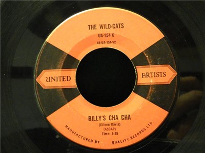 The Wild-Cats - Gazachstahagen download mp3 flac