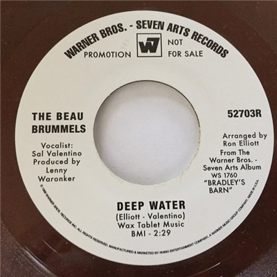 The Beau Brummels - Deep Water download mp3 flac