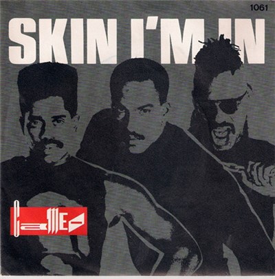 Cameo - Skin I'm In download mp3 flac