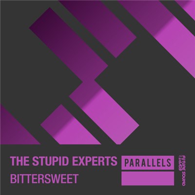 The Stupid Experts - Bittersweet download mp3 flac