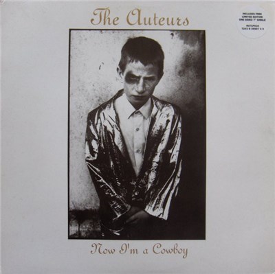 The Auteurs - Now I'm A Cowboy download mp3 flac