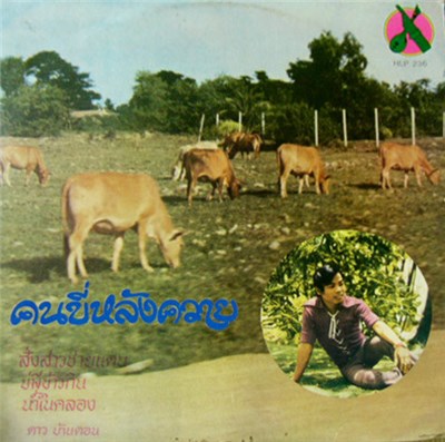 ดาว บ้านดอน - คนขี่หลังควาย download mp3 flac