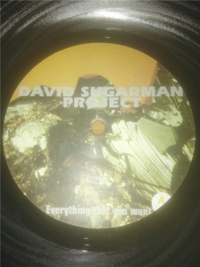 David Sugarman Project - Everything That You Want download mp3 flac