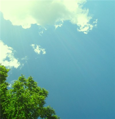 Hirotaka Shirotsubaki - 50m_silence download mp3 flac