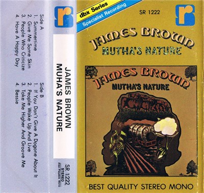 James Brown - Mutha's Nature download mp3 flac