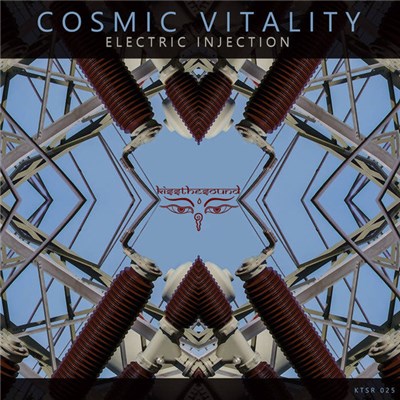 Cosmic Vitality - Electric Injection download mp3 flac