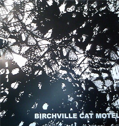 Birchville Cat Motel - Jewelled Wings download mp3 flac