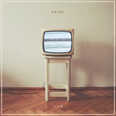 Zwidy - Szum download mp3 flac