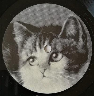 Torsson - Max Och Nisse download mp3 flac