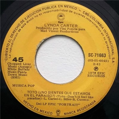 Lynda Carter - Toto (¿No Sientes Que Estamos En El Paraiso?) = Toto (Don't It Feel Like Paradise) download mp3 flac