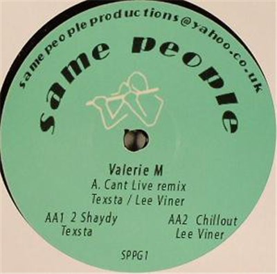 Valerie M - Cant Live (Remix) download mp3 flac