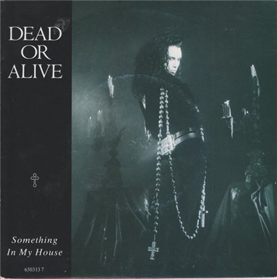 Dead Or Alive - Something In My House download mp3 flac