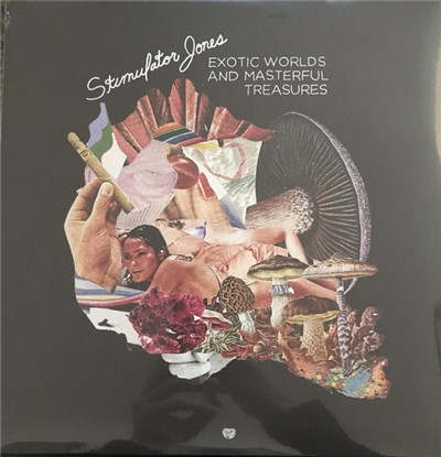 Stimulator Jones - Exotic Worlds and Masterful Treasures download mp3 flac