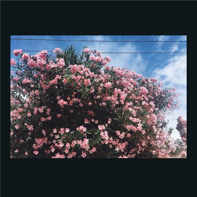 Ceres - Drag It Down On You download mp3 flac