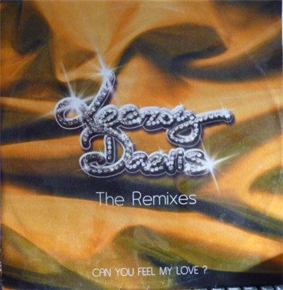 Leeroy Daevis - Can You Feel My Love (The Remixes) download mp3 flac