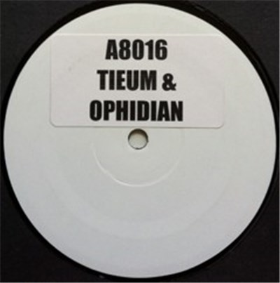 Tieum & Ophidian - Distorted Information download mp3 flac