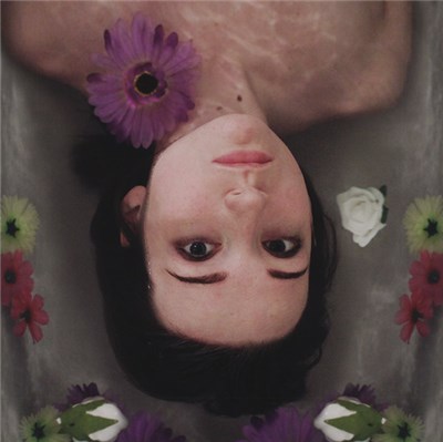 Flower Face - Fever Dreams download mp3 flac