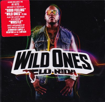 Flo Rida - Wild Ones download mp3 flac