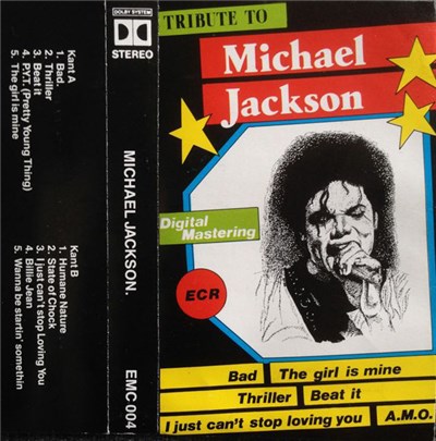 Unknown Artist - Tribute To Michael Jackson download mp3 flac