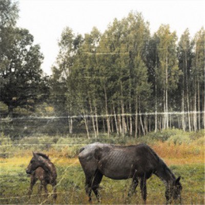 Pianos Become The Teeth - Old Pride download mp3 flac