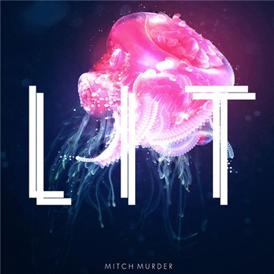 Mitch Murder - Lit download mp3 flac