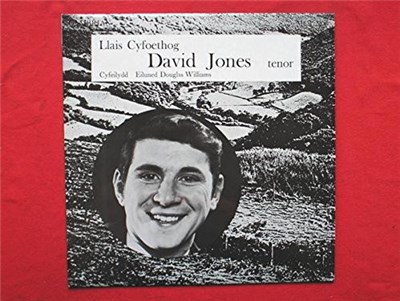 David Jones - Llais Cyfoethog download mp3 flac