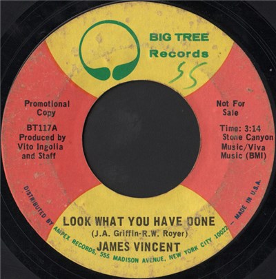 James Vincent - Look What You Have Done download mp3 flac