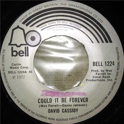 David Cassidy - Could It Be Forever download mp3 flac