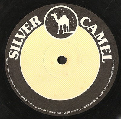 Diana / The Roots Radics - Use Me download mp3 flac
