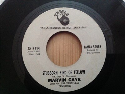 Marvin Gaye - Stubborn Kind Of Fellow / It Hurt Me Too download mp3 flac