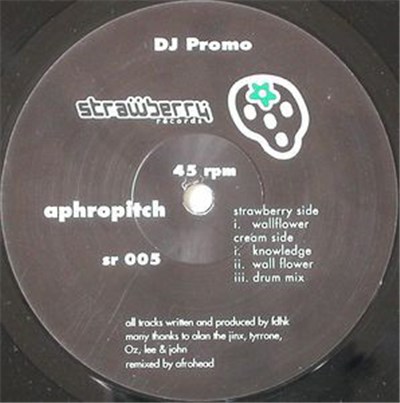Aphropitch - Wall Flower download mp3 flac