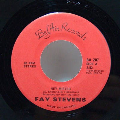 Fay Stevens - Hey Mister / Honkey Tonk Corner download mp3 flac