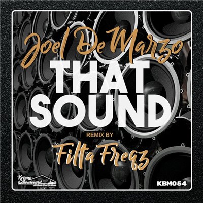 Joel DeMarzo - That Sound download mp3 flac