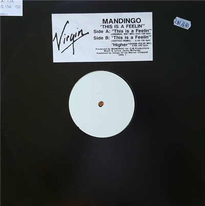 Mandingo - This Is A Feelin' download mp3 flac