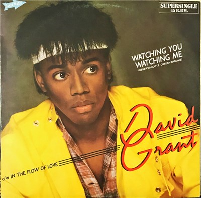 David Grant - Watching You, Watching Me = Observándote, Observándome download mp3 flac