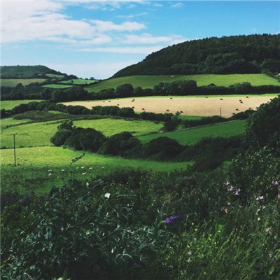 Moss Covered Technology - Southern Points download mp3 flac