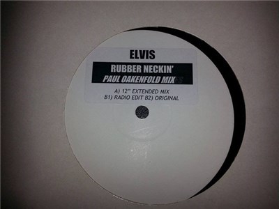 Elvis - Rubberneckin' (Remix) download mp3 flac