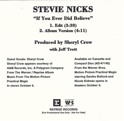 Stevie Nicks - If You Ever Did Believe download mp3 flac