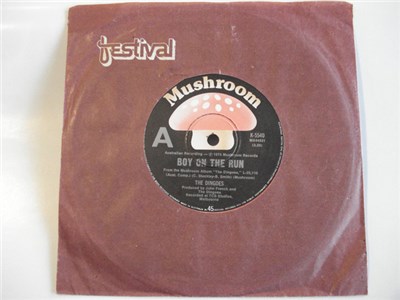 The Dingoes - Boy On The Run download mp3 flac