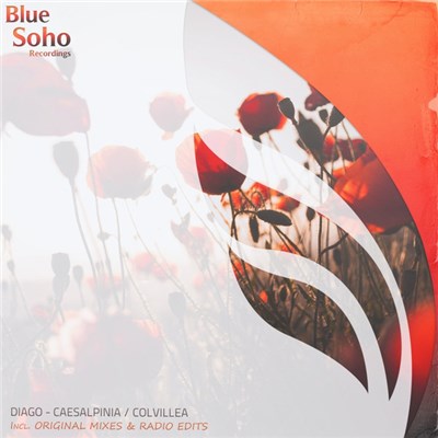 Diago - Caesalpinia / Colvillea download mp3 flac
