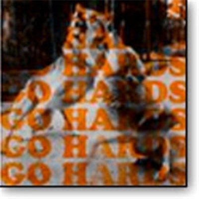 The Go Hards - Go Hards download mp3 flac