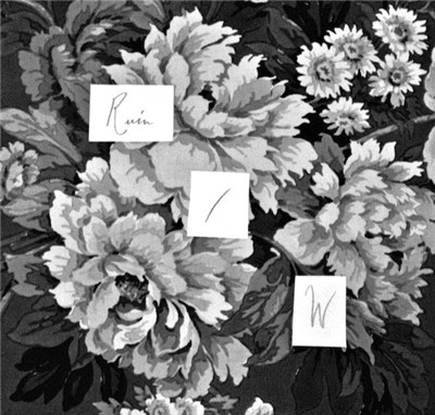 Ruin / W - We Fell In Love In The Wreckage / Open Water download mp3 flac