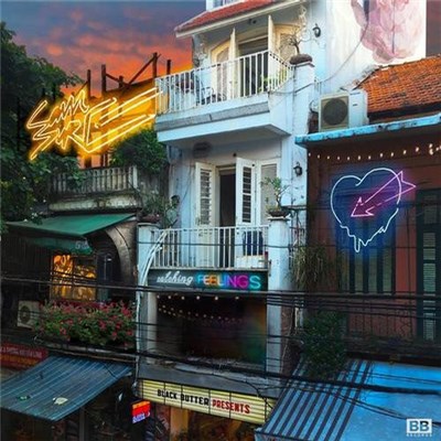 Sam Sure - Catching Feelings download mp3 flac