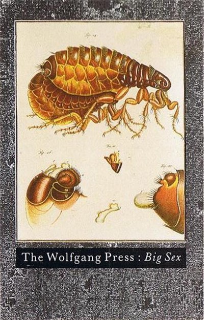 The Wolfgang Press - Big Sex download mp3 flac