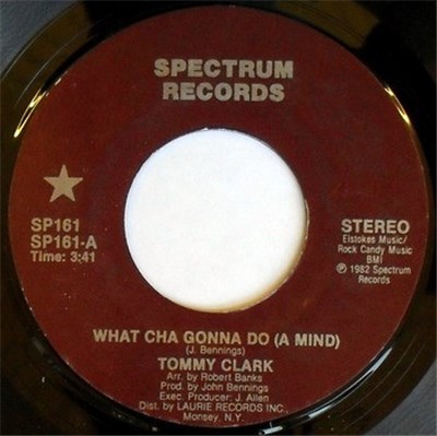 Tommy Clark / Lily Fields - What Cha Gonna Do / He's A Wonder download mp3 flac