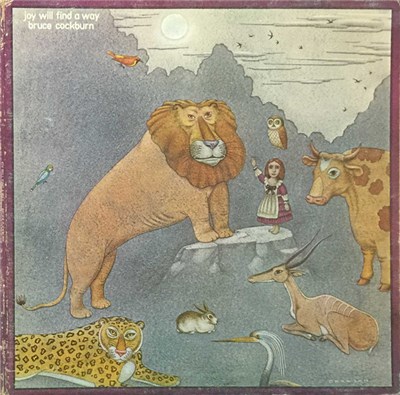 Bruce Cockburn - Joy Will Find A Way download mp3 flac